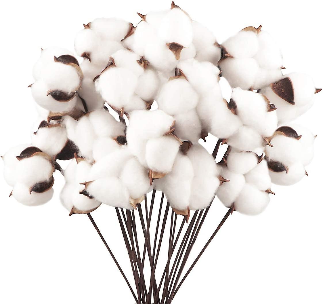 COTTON FLOWERS